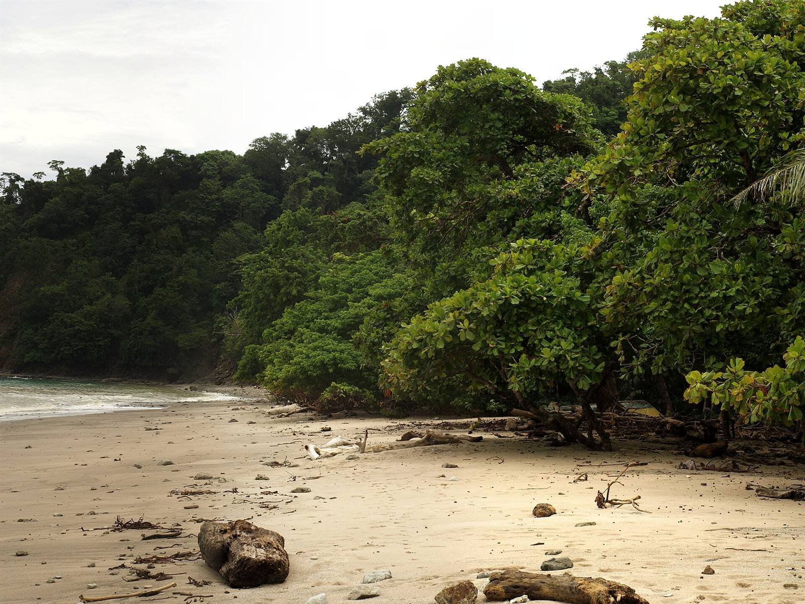 Cabo Blanco Reserve · 8 km